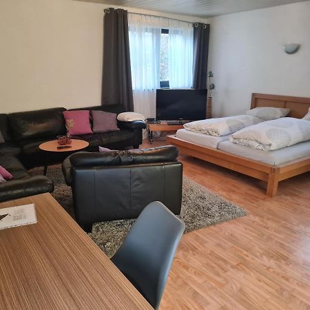 Apartment Zum Wohlfuehlen In Ruhiger Lage Pfungstadt Zewnętrze zdjęcie
